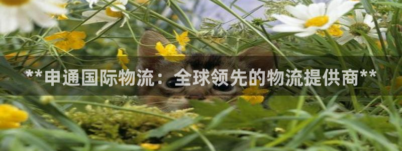 28圈加拿大能提现吗：**申通国际物