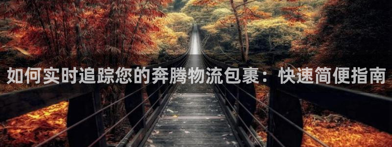 28圈充值不到账怎么回事