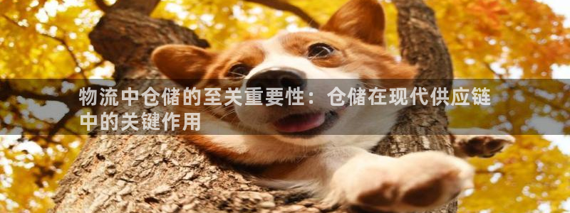 28圈登陆网：物流中仓储的至关重要性