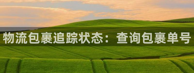 28圈犯法吗：物流包裹追踪状态：查询