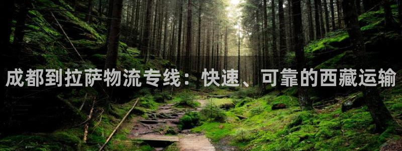 28圈百度百科