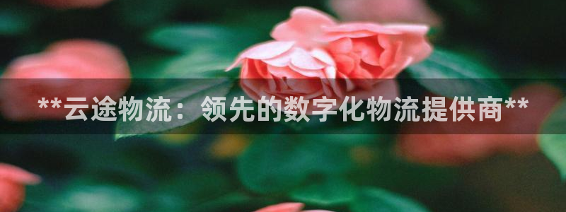 28圈黑平台吗