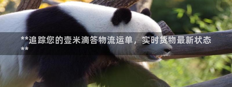 28圈游戏官网入口