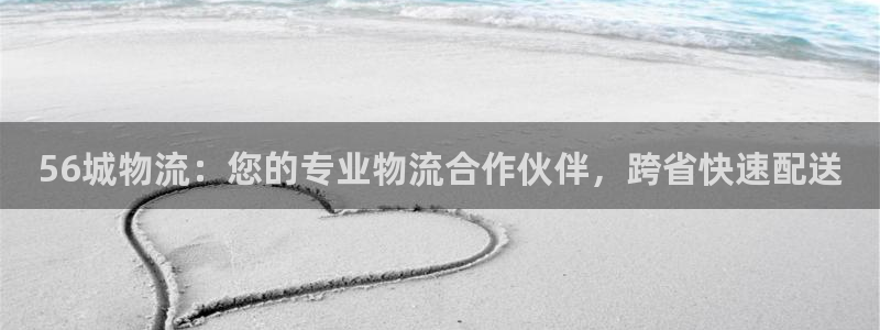 28圈官网平台：56城物流：您的专业