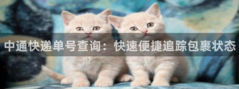 28圈激活码