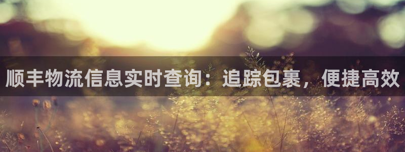 28圈充值不到账怎么办：顺丰物流信息
