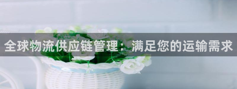 28圈登录用户名登录不上：全球物流供