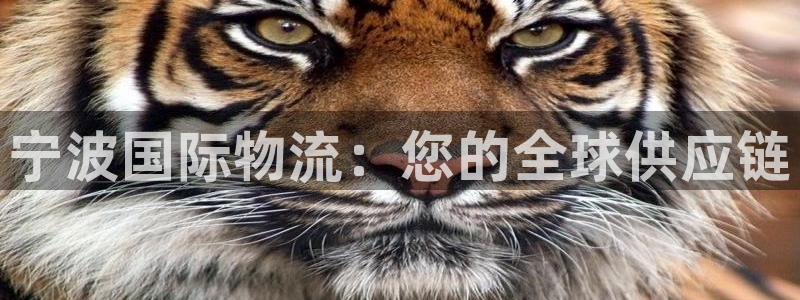 28圈p扣除是什么意思：宁波国际物流