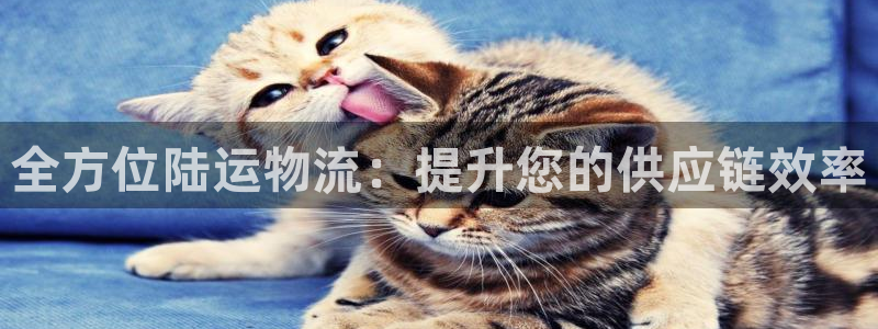 28圈链接多少
