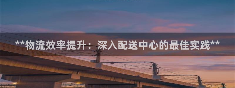 28圈忘记账号：**物流效率提升：深