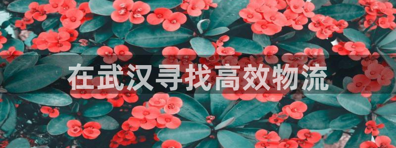 28圈为什么打不开