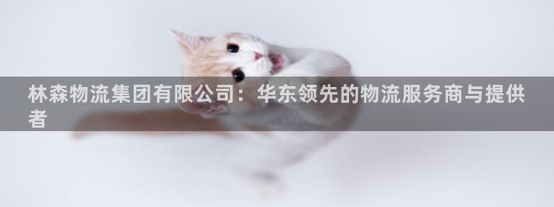 28圈app赢了500万：林森物流集