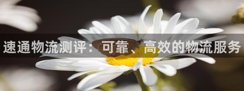 28圈加拿大预测：速通物流测评：可靠