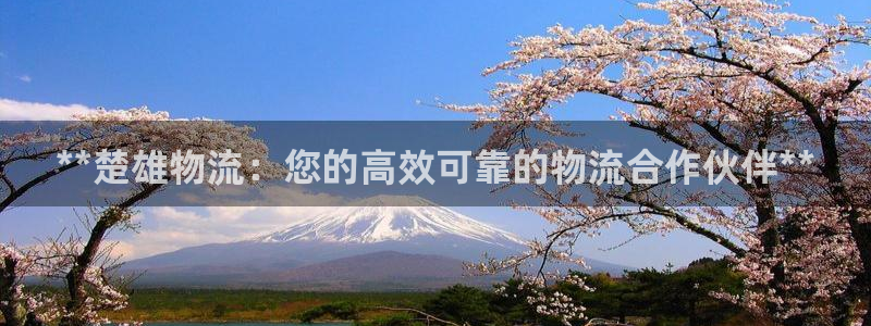 28圈取保：**楚雄物流：您的高效可