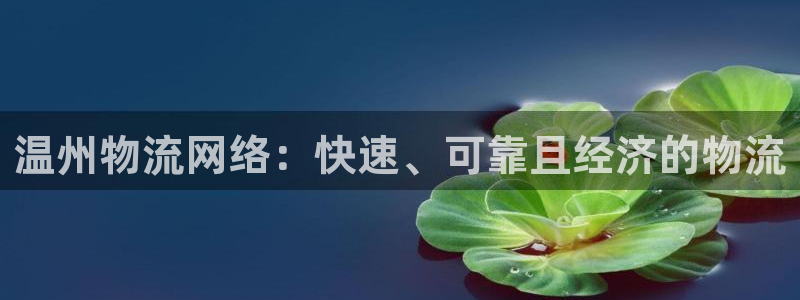 28圈注册网站多少钱一个：温州物流网