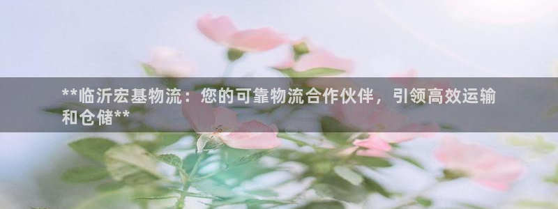 28圈黑不黑：**临沂宏基物流：您的
