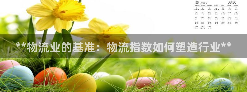 28圈v6能卖多少：**物流业的基准