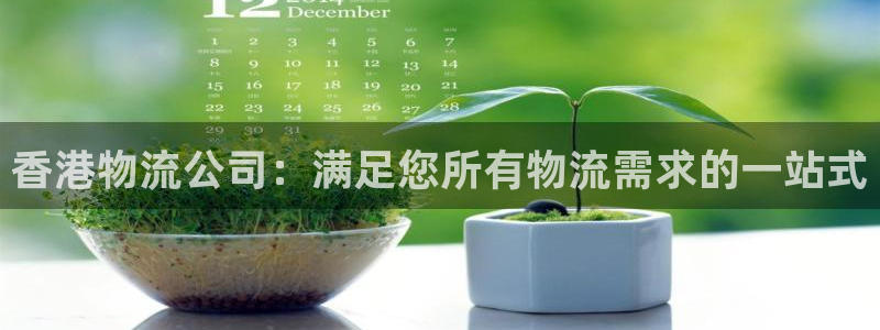 28圈游戏：香港物流公司：满足您所有