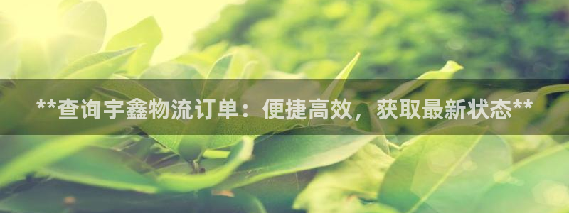 28圈官网开奖结果预测