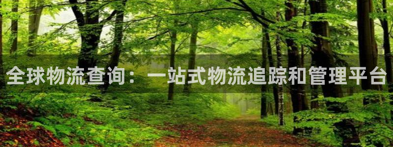 28圈官网版2024：全球物流查询：