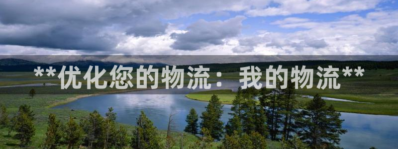 28圈哪个最赚钱