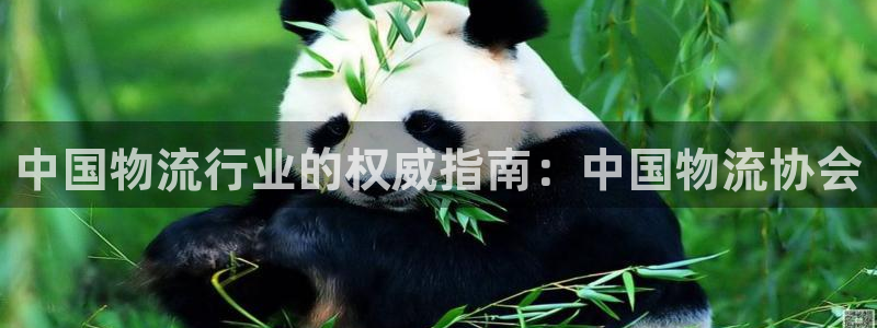 28圈pg如何退钱：中国物流行业的权