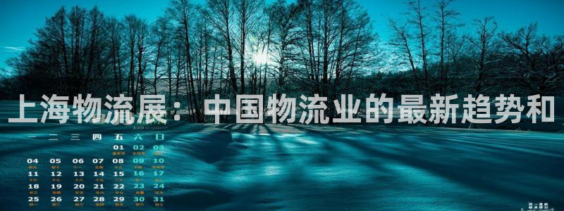28圈注册：上海物流展：中国物流业的