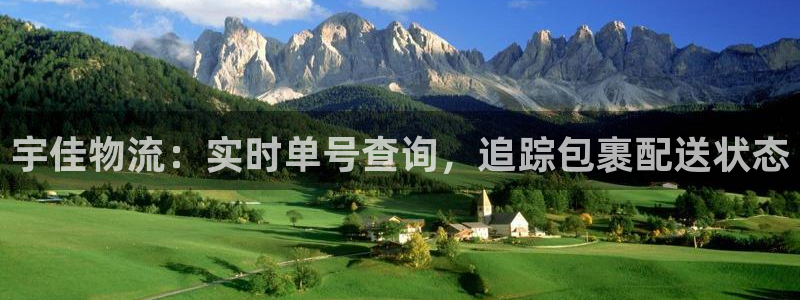 28圈注册登录：宇佳物流：实时单号查