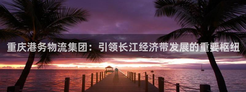 28圈注册登录链接：重庆港务物流集团