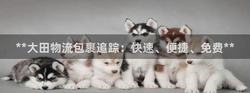 28圈预测加拿大