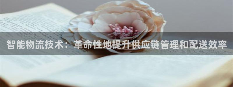 28圈.ccm2024：智能物流技术