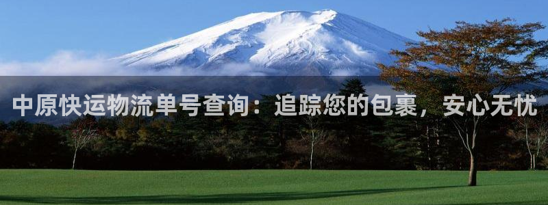 28圈能不能退：中原快运物流单号查询