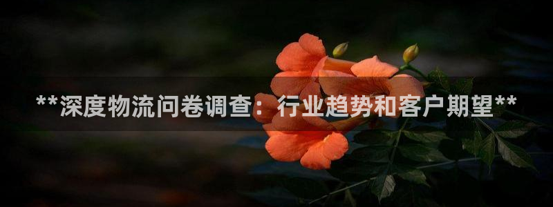 28圈下载链接是多少：**深度物流问