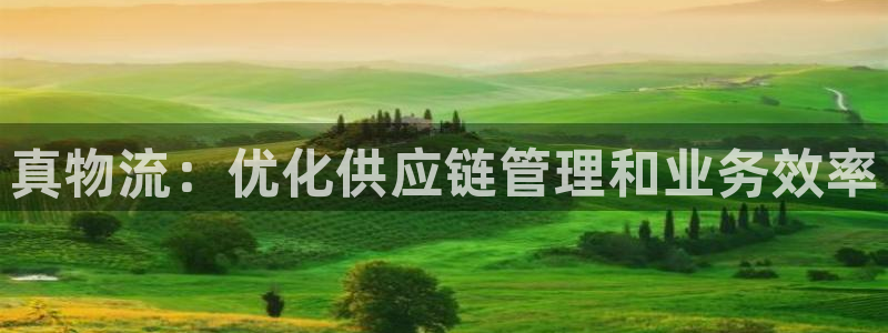 28圈注册网页版：真物流：优化供应链