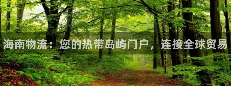 28圈注册网站APP：海南物流：您的