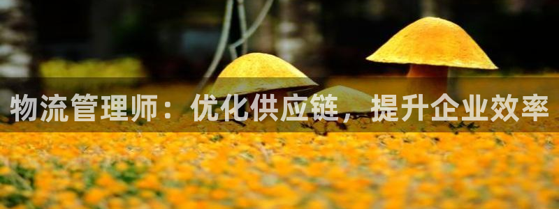 28圈pg麻将胡了：物流管理师：优化
