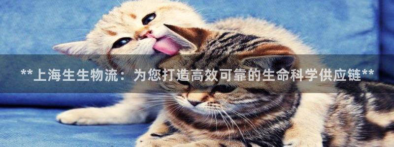 28圈加拿大预测：**上海生生物流：