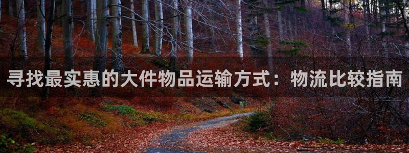 28圈客服一直不回消息怎么办：寻找最