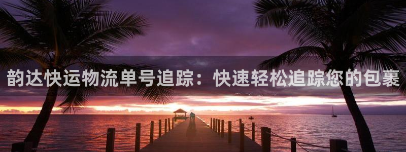 28圈模拟器在线玩：韵达快运物流单号