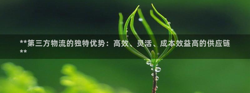 28圈哪个最赚钱：**第三方物流的独