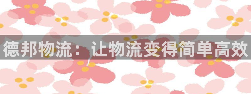 28圈能不能退：德邦物流：让物流变得