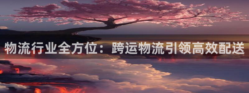 28圈.ccmpc正版