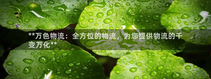 28圈app注册地址：**万色物流：