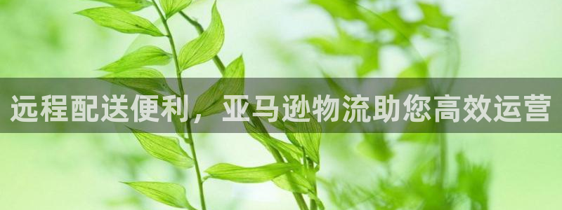 28圈网赌案件：远程配送便利，亚马逊