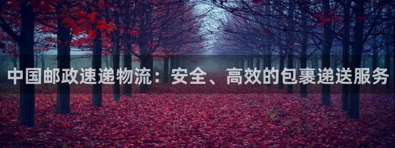 28圈app能退款吗
