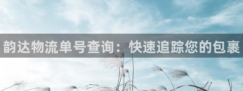 28圈游戏官网入口：韵达物流单号查询