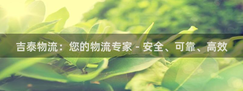 28圈加拿大预测