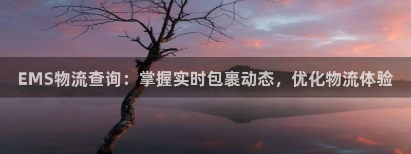28圈怎么注册：EMS物流查询：掌握