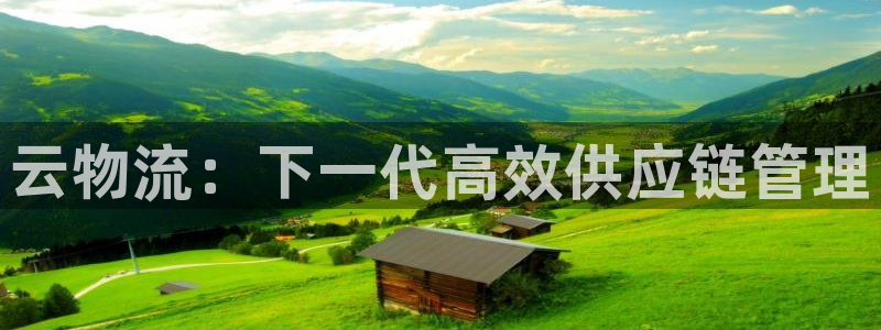 28圈加拿大预测