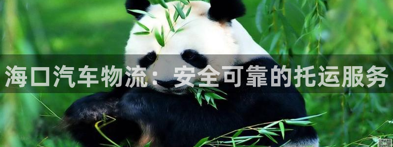 28圈注册网站谁有